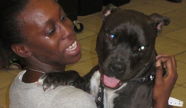 Stolen Dog Nearly Died From Abuse, His Emotional Reunion With His Human Made Everyone Cry