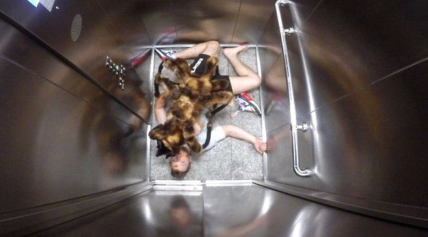 spider scare prank