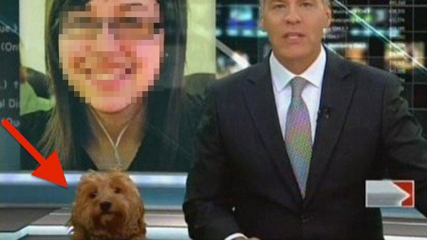 news bloopers