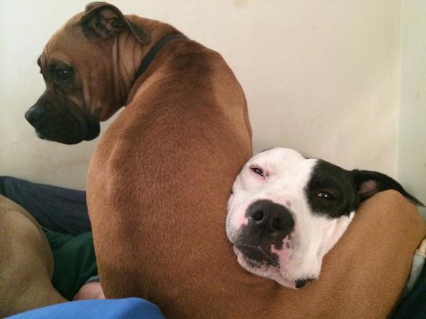 "Cullen resting with her sister, Lani, wrapped around her." Photo credit: Tiffany Caneda
