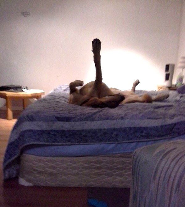 "Rock star pose." Photo credit:  Melissa Casagrande‎