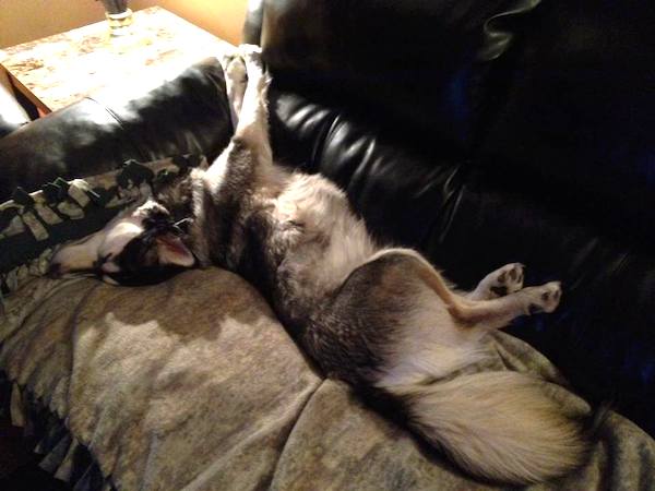 Photo credit: Rob Grabowski