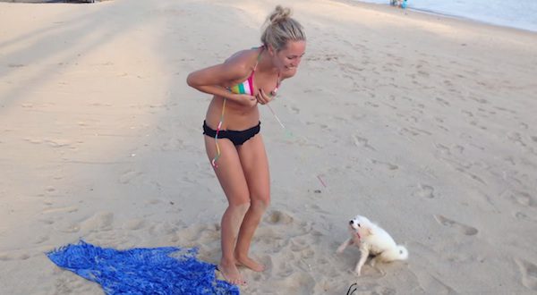 puppy vs bikini