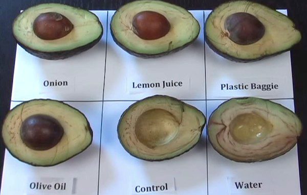 How To Keep Avocados From Turning Brown