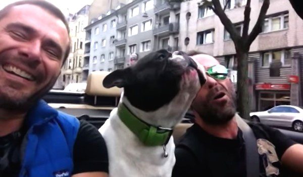 Every Time Dog Hears ‘Their’ Song He Can’t Stop Singing With Dad
