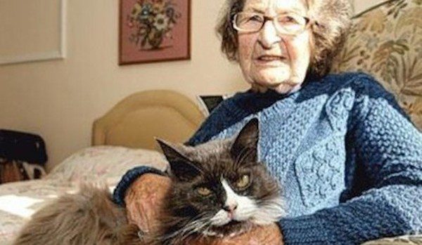 Cat Tracks Down Her Rescuer At Senior’s Home
