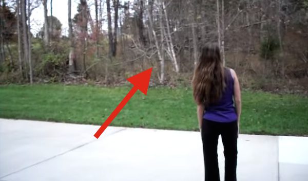 Orphaned Deer Runs Over To Woman To Be Bottle Fed In Home