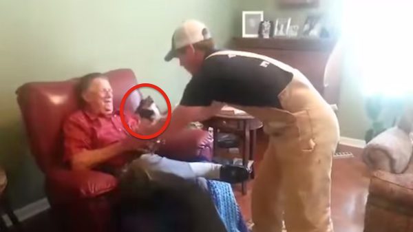 Dog Plays Possum Whenever This Man Picks Him Up And Everyone Dies Of Laughter
