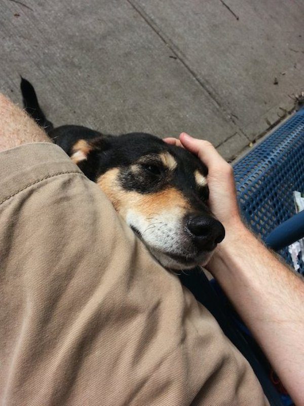 dora