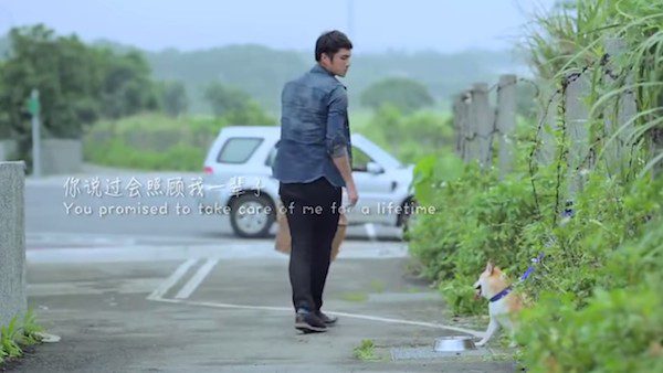Dog’s Devotion To His Humans Shows That A Dog’s Love Is Unconditional And Forever