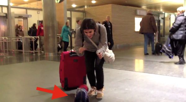 Woman Who Had Never Been Away From Her Dog Before Gets Emotional Welcome Home
