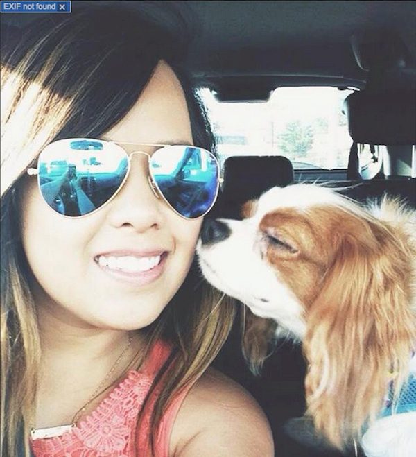 pham-and-dog