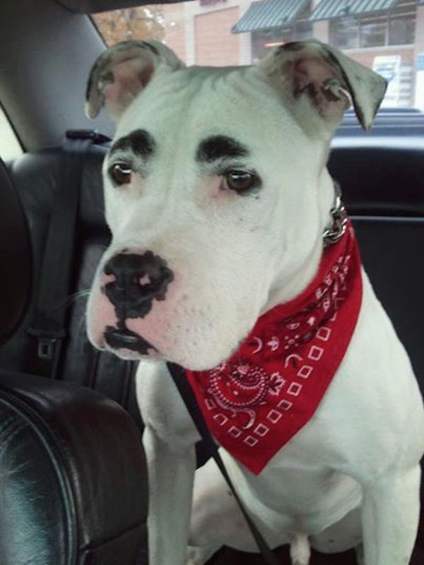 simon-freedomride