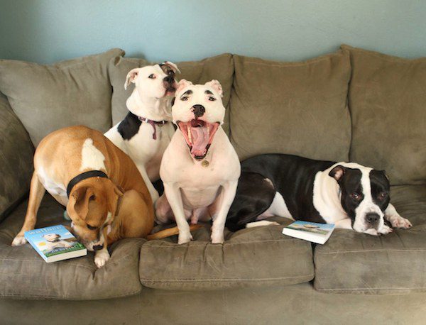 simon-pack