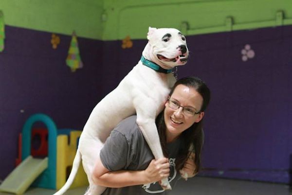 simon-piggyback