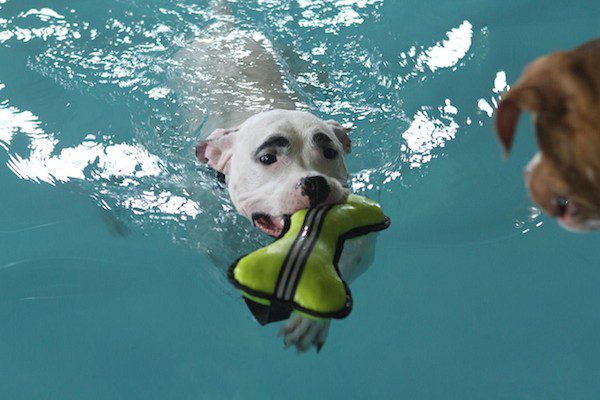 simon-swimming