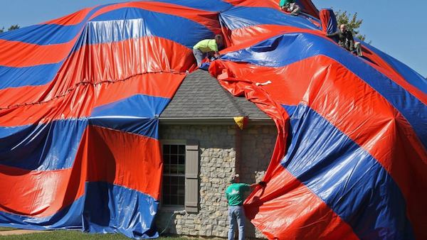 They Bought The Perfect Home. Then 1,000s Of Venomous Spiders Started “Bleeding Out Of The Walls”