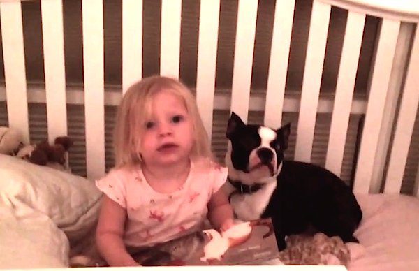 terrier-in-crib2