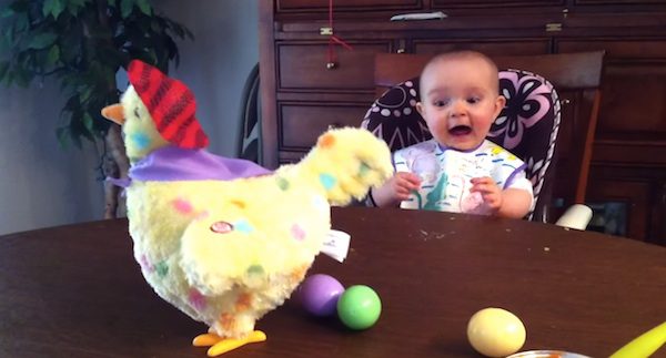 baby reacts to toy hen