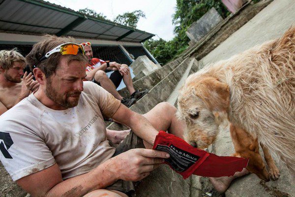 adventure-dog-10