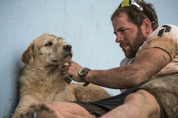 Stray Dog Completes Amazing Jungle Trek With Adventure Racers And Finds Himself A Home