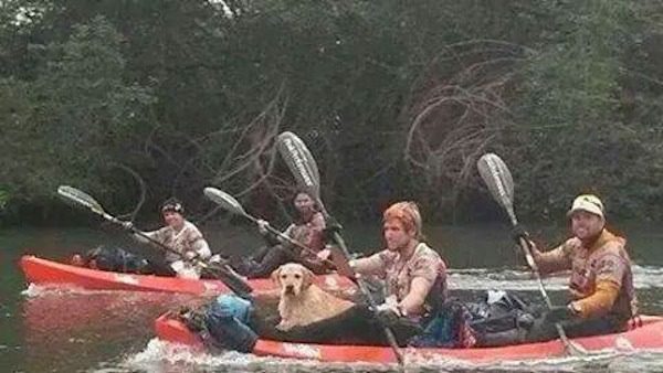 adventure-dog-4