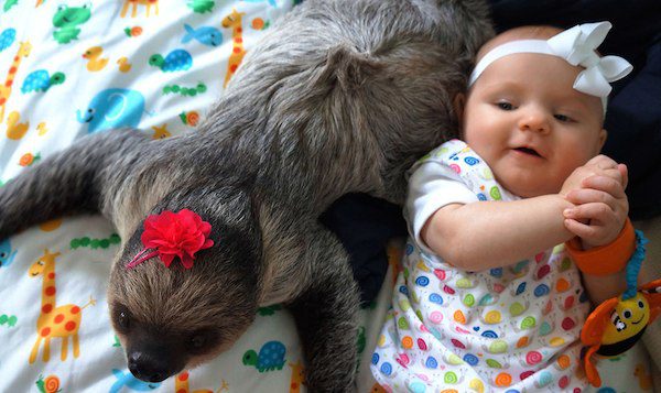 baby and sloth