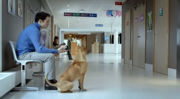 Surprise Puppies! New Dad Wasn’t Expecting What Comes Through The Door