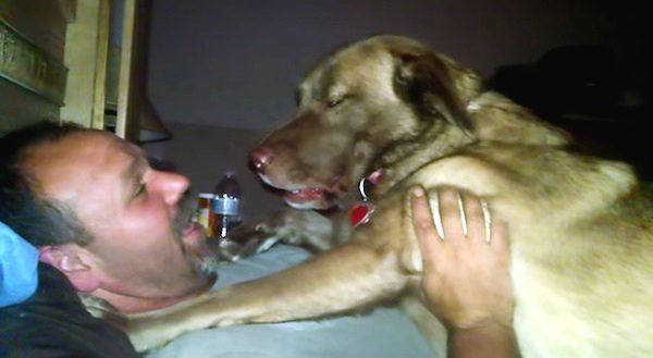 Dog Relaxing On Her Dad Has Hilarious Temper Tantrum When Asked To Move