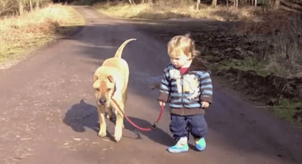 dog and toddler on walk