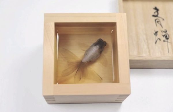 goldfish-art-3