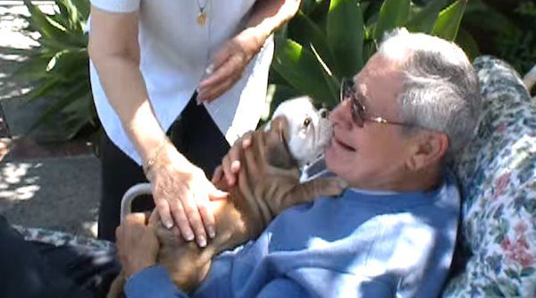 grandpa gets puppy