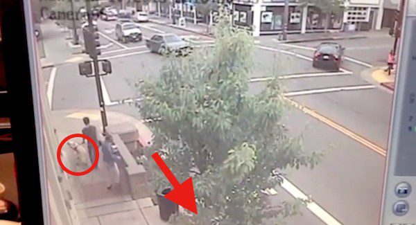 Guide Dog Saves Two People From Being Run Over By Car Speeding Down Sidewalk
