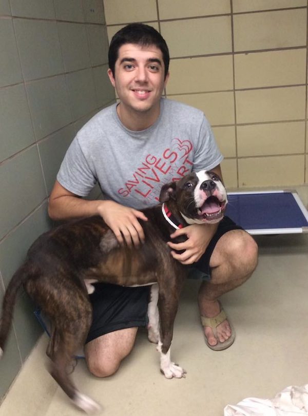 larrybird-adopted
