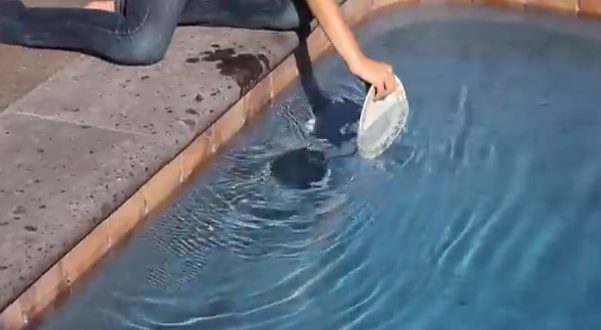 plate in pool demonstrates physics