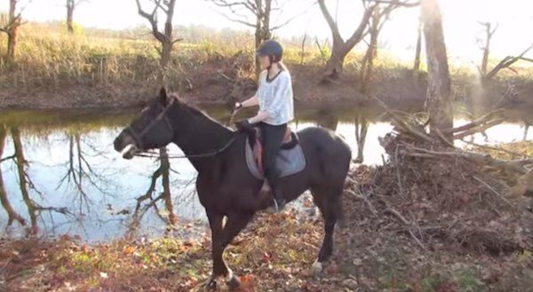 horse scared of water