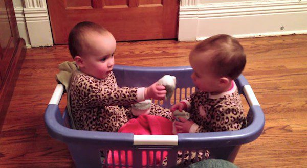 Baby twins in laundry basket