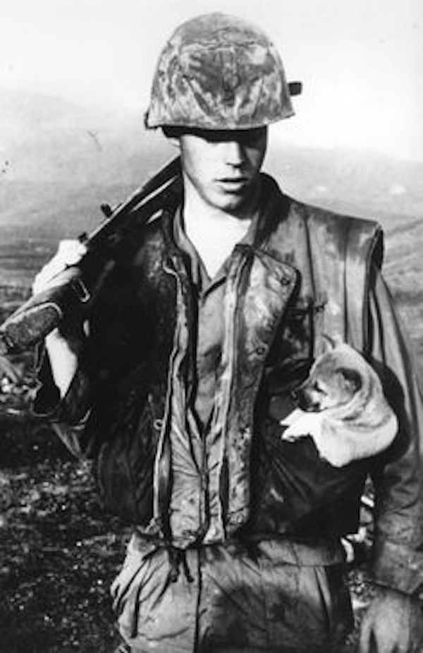 vietnam-soldier-puppy