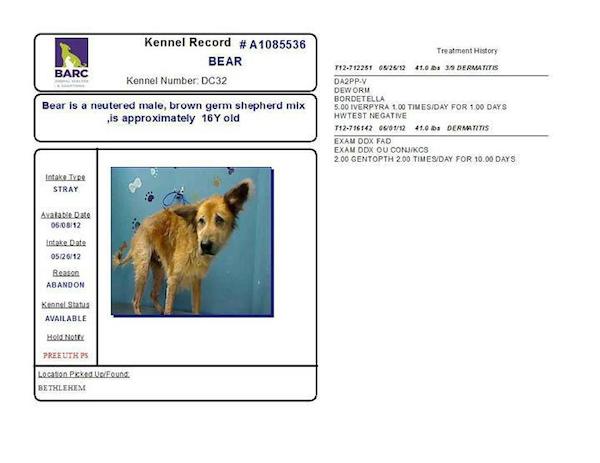 barcs-bear