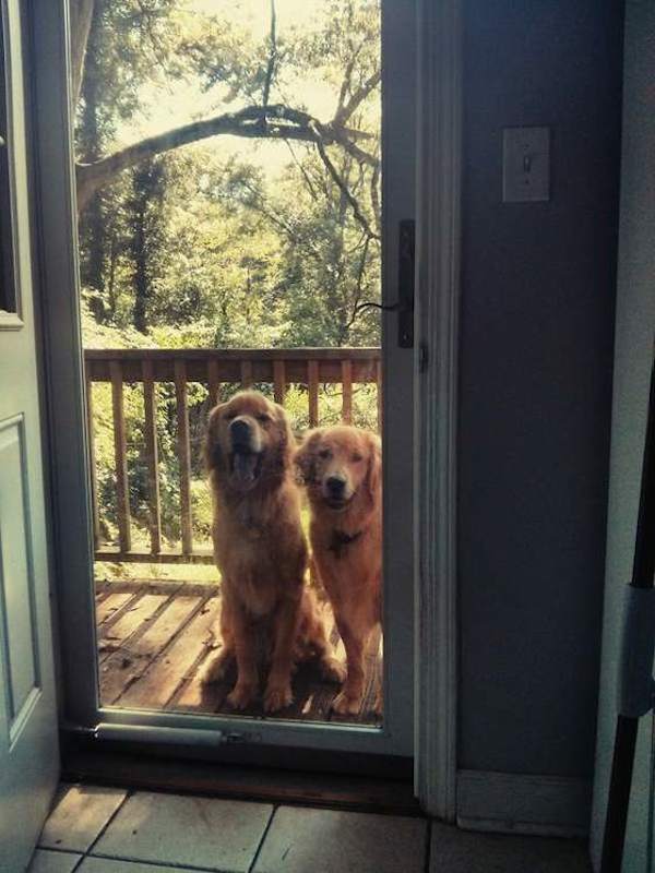 bran-at-door