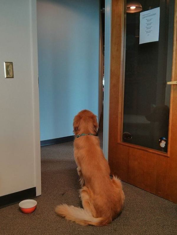 bran-at-office