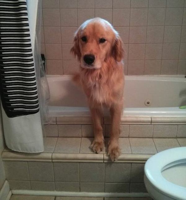 bran-tub