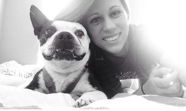 Family Shows Boston Terrier Who Lived On The Streets Love In His Final Days