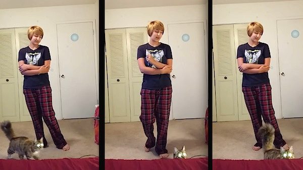 cat interrupts act