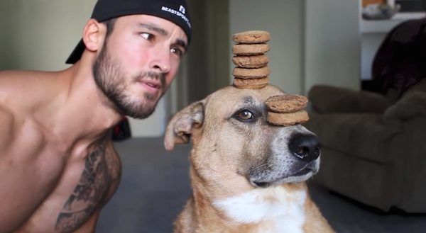Dog Shows Off His Amazing Concentration