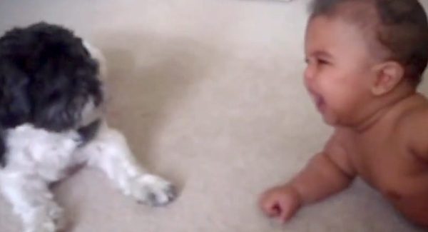 dog and baby cry together