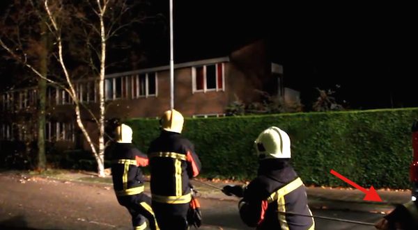 dog helps firefighters