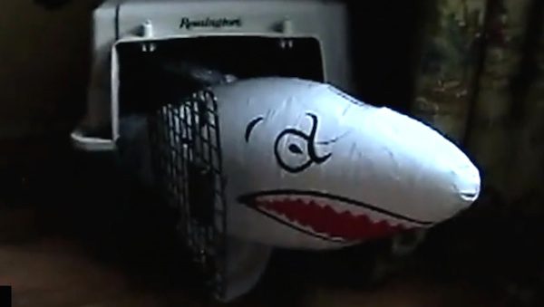 dog vs inflatable toy