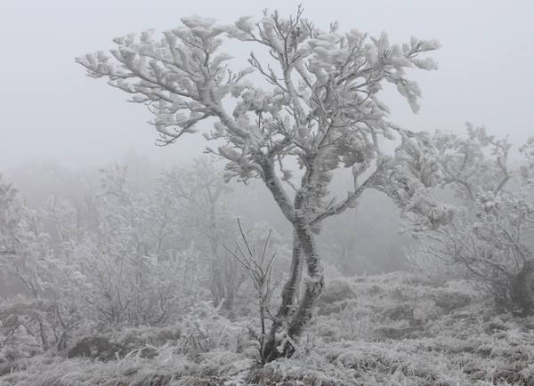 freezing-fog-5