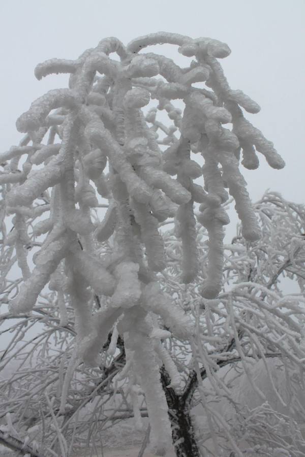 freezing-fog-6